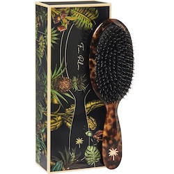 Fan Palm Hair Brush Medium - Turtle